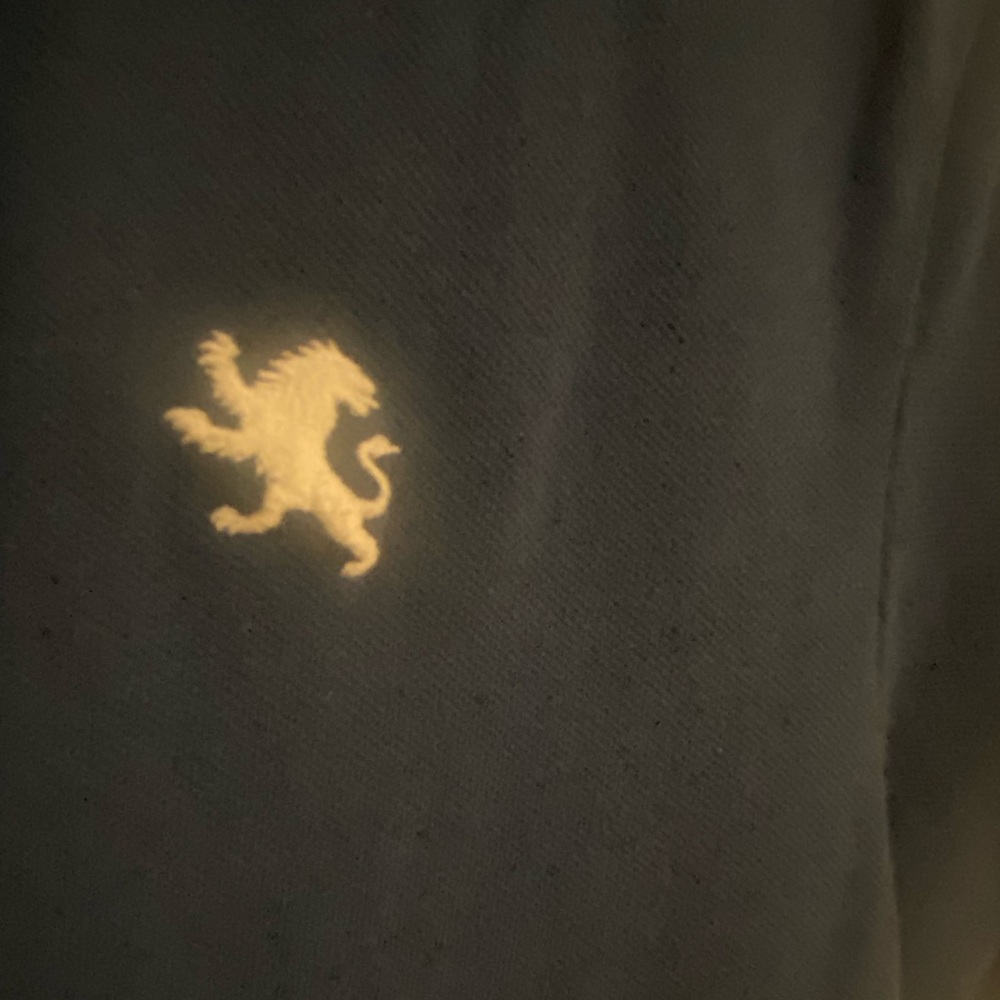 Express Polo - Picture 3 of 3